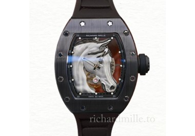 Richard Mille RM52-02 Mechanical Men Watch Stainless Steel Rubber Band