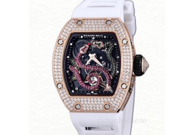 Richard Mille RM 026 Automatic Unisex Stainless Steel Transparent Dial Watch